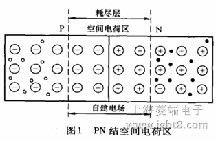 PNYg늺Ʌ^